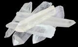 Clear Quartz Crystals (Wholesale Flat) - pounds #64729-1